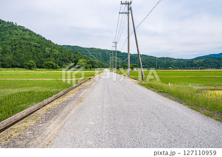 滋賀県湖北地方木之本町の水田風景 長浜市 滋賀県湖北地方木之本町の水田風景 長浜市 127110959