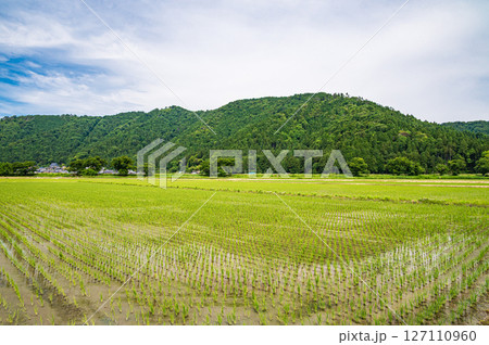 滋賀県湖北地方木之本町の水田風景　長浜市 127110960
