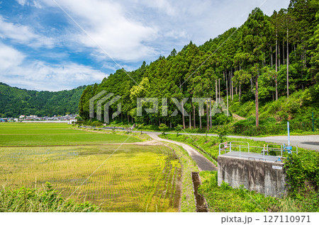 滋賀県湖北地方木之本町の水田風景　長浜市 127110971