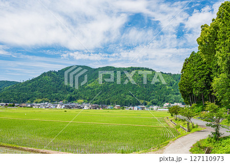 滋賀県湖北地方木之本町の水田風景　長浜市 127110973