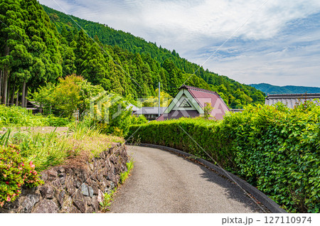 木之本町大音集落と針葉樹林風景　滋賀県長浜市 127110974