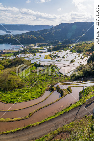 《佐賀県》大浦の棚田・伊万里湾をのぞむ田園風景 127111051