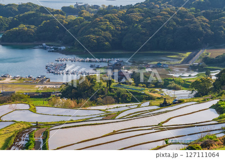 《佐賀県》大浦の棚田・伊万里湾をのぞむ田園風景 127111064