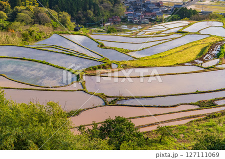 《佐賀県》大浦の棚田・伊万里湾をのぞむ田園風景 《佐賀県》大浦の棚田・伊万里湾をのぞむ田園風景 127111069