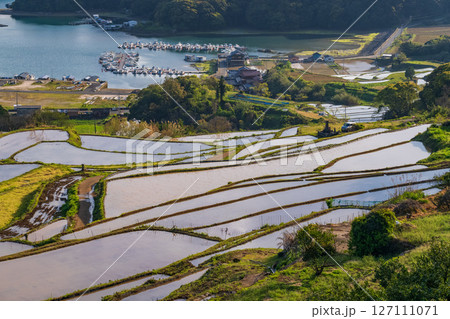 《佐賀県》大浦の棚田・伊万里湾をのぞむ田園風景 《佐賀県》大浦の棚田・伊万里湾をのぞむ田園風景 127111071