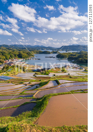 《佐賀県》大浦の棚田・伊万里湾をのぞむ田園風景 《佐賀県》大浦の棚田・伊万里湾をのぞむ田園風景 127111093
