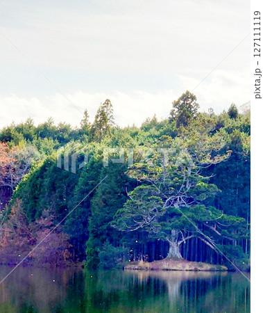 岩尾池の神秘杉 127111119