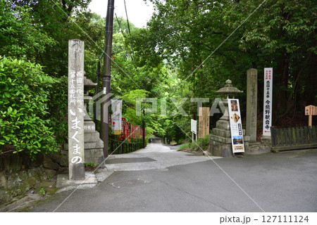 京都市東山区西国十五番霊場今熊野観音寺の初夏の風景 127111124