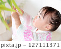 七夕　笹の葉に短冊を飾り付ける2歳の女の子　願い事　笹飾り　願いごと　一夜飾り 127111371