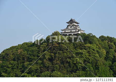 夕刻の犬山城を眺める 127111391