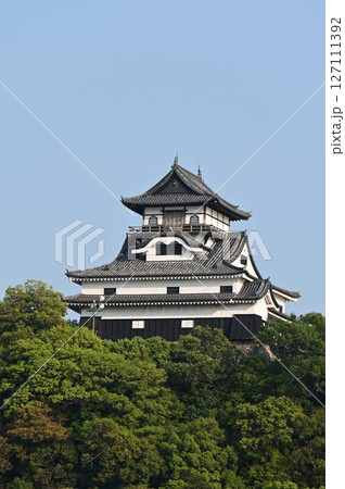 夕刻の犬山城を眺める 127111392