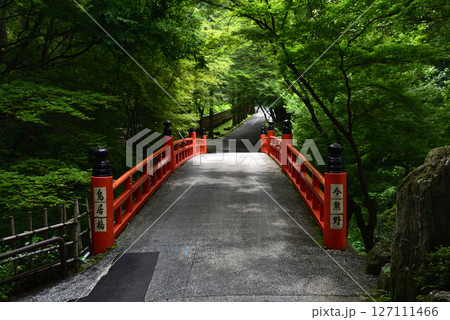 京都の西国十五番霊場今熊野観音寺の初夏の風景 京都の西国十五番霊場今熊野観音寺の初夏の風景 127111466
