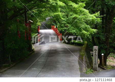 京都の西国十五番霊場今熊野観音寺の初夏の風景 127111468