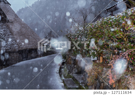 京都府南丹市美山町雪積もるかやぶきの里の撮影したもの 京都府南丹市美山町雪積もるかやぶきの里の撮影したもの 127111634