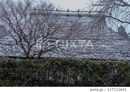 京都府南丹市美山町雪積もるかやぶきの里の撮影したもの 127111641