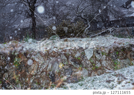 京都府南丹市美山町雪積もるかやぶきの里の撮影したもの 127111655