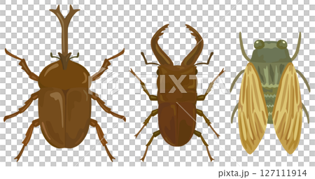 Summer insect illustration set vector material 127111914