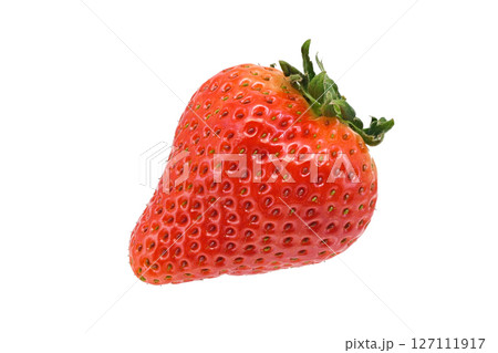 【苺】 (深度合成) 127111917