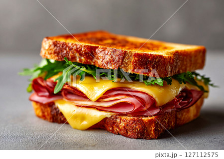 tempting ham and cheese sandwich in the sunny corner on a light gray background tempting ham and cheese sandwich in the sunny corner on a light gray background 127112575