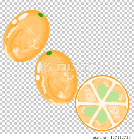 簡單的金橘圖示水彩風格 簡單的金橘圖示水彩風格 127112739