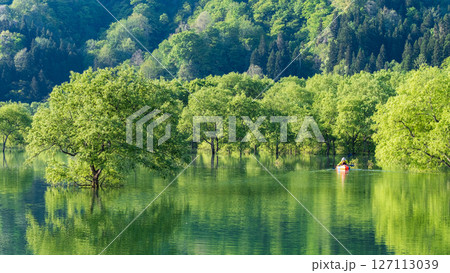 白川湖の水没林 127113039