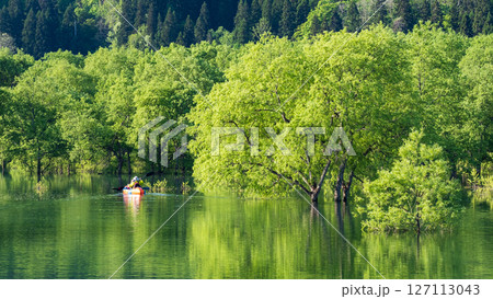 白川湖の水没林 127113043