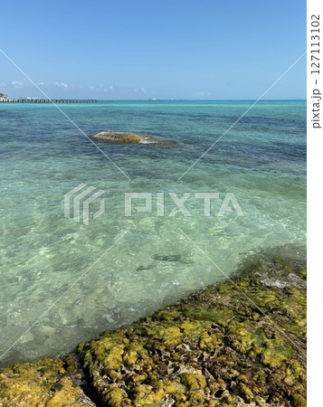 メキシコのカンクンのビーチ 127113102