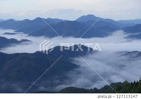 池田町上空の雲海　部子山からの眺め　福井県今立郡池田町 127113147