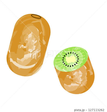 キウイシンプルアイコン　水彩風 127113262