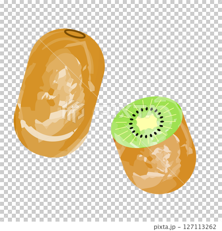 キウイシンプルアイコン　水彩風 127113262