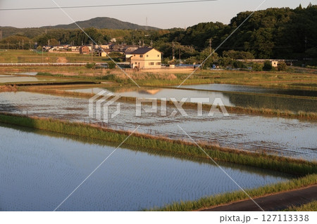 6月の田植えが始まった日本の田園風景の夕暮れ 127113338