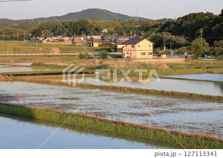 6月の田植えが始まった日本の田園風景の夕暮れ 6月の田植えが始まった日本の田園風景の夕暮れ 127113341