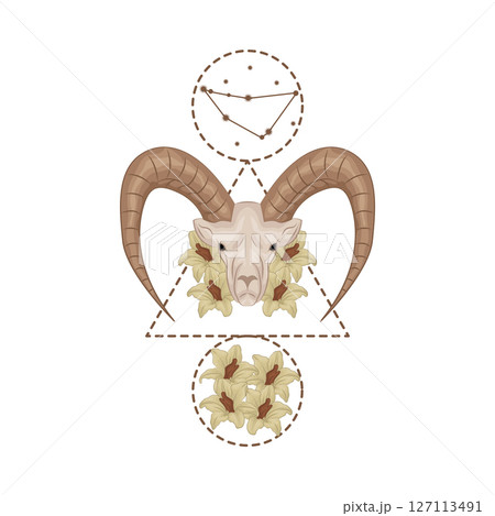 Illustration of Capricorn  127113491
