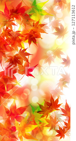 紅葉　もみじ　秋　背景	 127113612