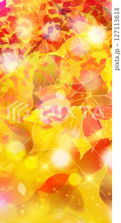 紅葉　もみじ　秋　背景	 127113618
