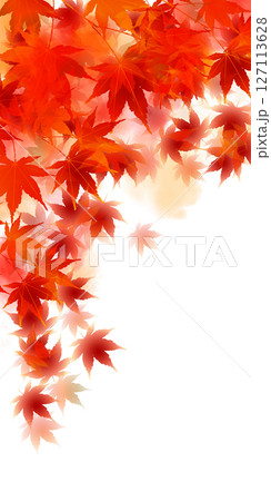 紅葉 もみじ 秋 背景 紅葉 もみじ 秋 背景 127113628