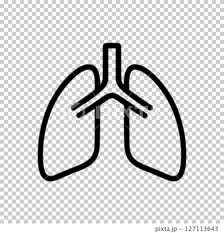 Lung line drawing icon, illustration, medical, no background, simple, material 127113643