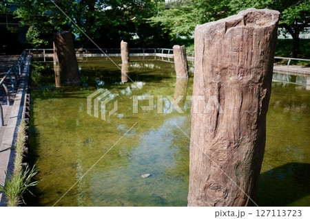 東海道五十三次・平塚宿旧相模川橋脚跡柱 127113723