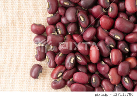 ささげのクローズアップ 127113790