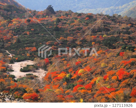 紅い絨毯　那須茶臼岳 127113926