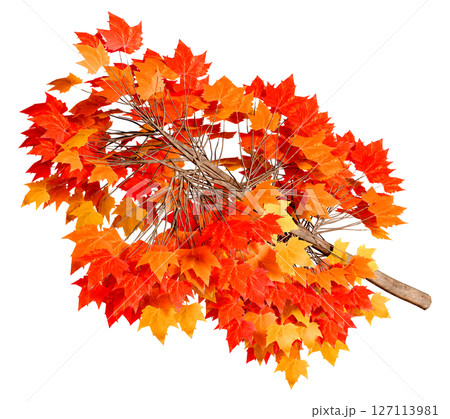 紅葉の枝 127113981
