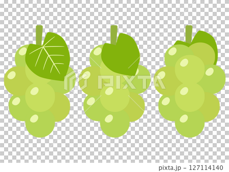 閃耀麝香葡萄酒和樹葉套裝 127114140