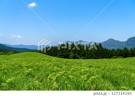 初夏の曾爾高原　お亀池北側の遊歩道から見た北方向の風景① 127114193