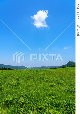 初夏の曾爾高原 お亀池北側の遊歩道から見た北西方向の風景 ポツンと浮かぶ雲 初夏の曾爾高原 お亀池北側の遊歩道から見た北西方向の風景 ポツンと浮かぶ雲 127114195