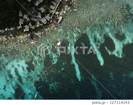 Aerial View of Tropical Bay with Crystal Clear Turquoise Water and Swimmers Aerial View of Tropical Bay with Crystal Clear Turquoise Water and Swimmers 127114243