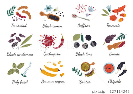 Flat cartoon set of exotic spices and herbs for cooking and seasoning. Culinary ingredients vector illustrations from different cultures, food preparation, kitchen use, traditional cuisine icons 127114245