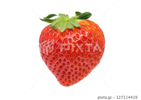 【苺】 (深度合成) 127114419