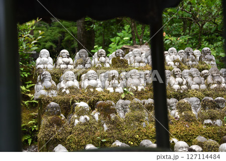 西国十五番霊場今熊野観音寺の風景 127114484