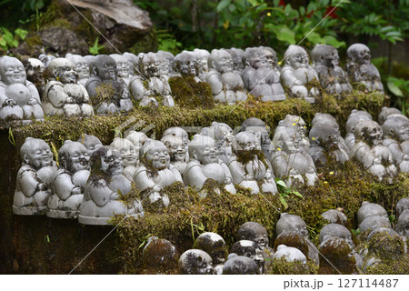 西国十五番霊場今熊野観音寺の風景 127114487