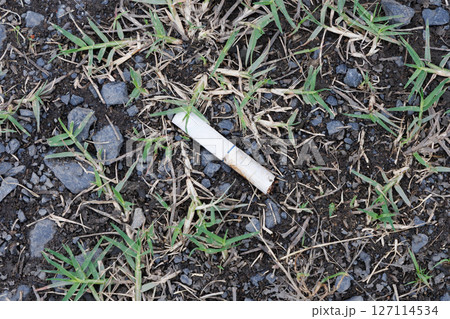 タバコの吸い殻 127114534